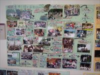 37��@������@����photo_20